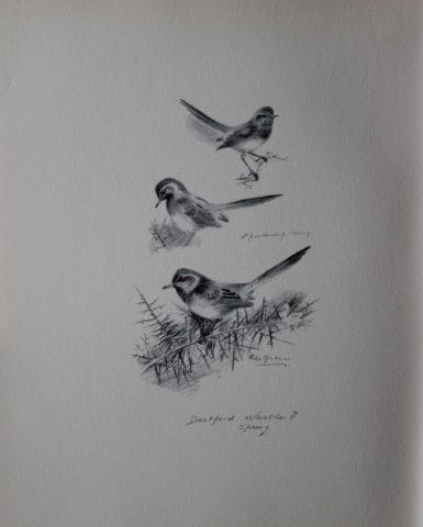 Philip Rickman - Print of pencil drawings of Dartf