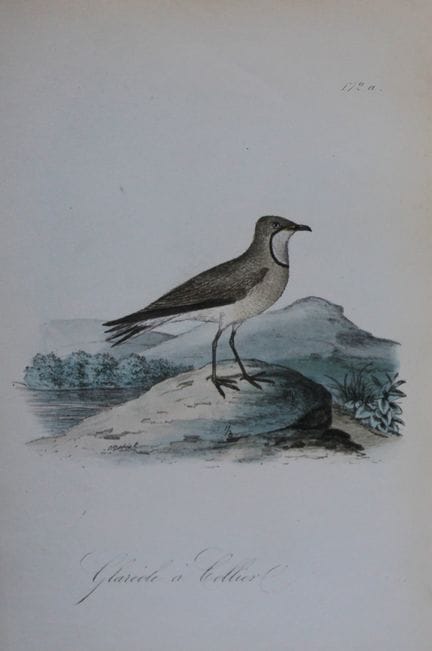 Charles Dubois - Lithographie rare représentant la