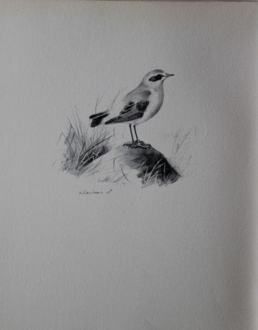 Philip Rickman - Print of pencil drawings of Wheat