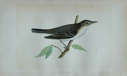 Charles Bree - Gravure coloriée à la main représen
