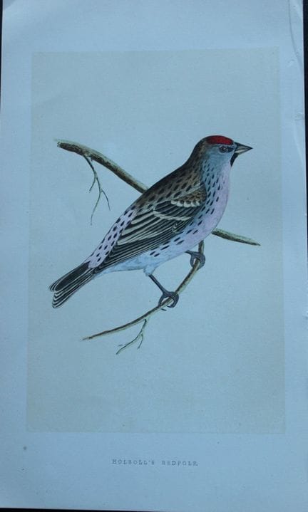 Charles Bree - Gravure coloriée à la main représen