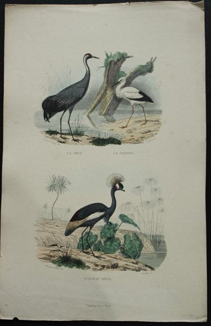 Edouard Travies - Cranes from Complete Works of Bu