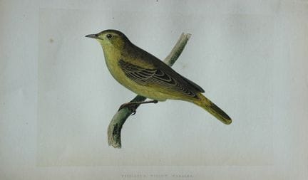 Charles Bree - Gravure coloriée à la main représen