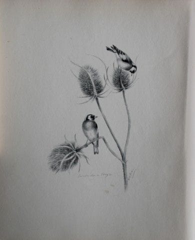 Philip Rickman - Print of pencil drawings of Goldf