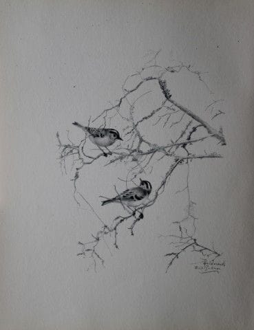 Philip Rickman - Print of pencil drawings of Goldc