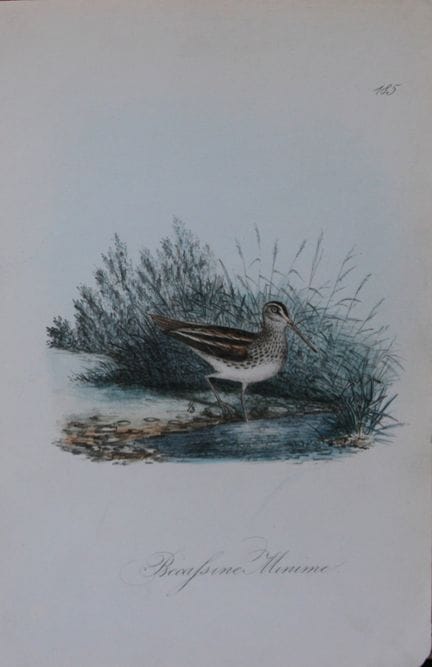 Charles Dubois - Lithographie rare représentant la