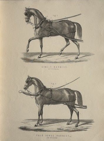 Benjamin Herring - Lithograph of Harnesses 1895.

