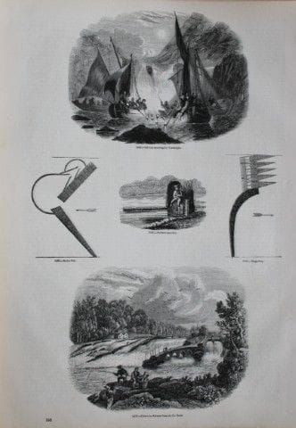 Gravure de poissons publiée par Charles Knight en 