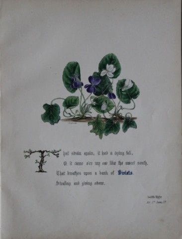 Jane E. Giraud - Estampe coloriée à la main tirée 