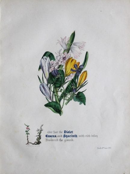 Jane E. Giraud - Estampe coloriée à la main tirée 