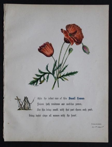 Jane E. Giraud - Lithographie originale tirée de *