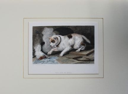 Sir E. Landseer - « Too hot to hold », terrier, 18