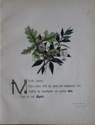 Jane E. Giraud - Estampe coloriée à la main tirée 
