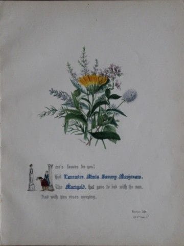Jane E. Giraud - Estampe coloriée à la main tirée 