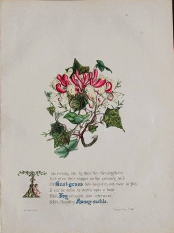 Jane E. Giraud - Estampe coloriée à la main tirée 