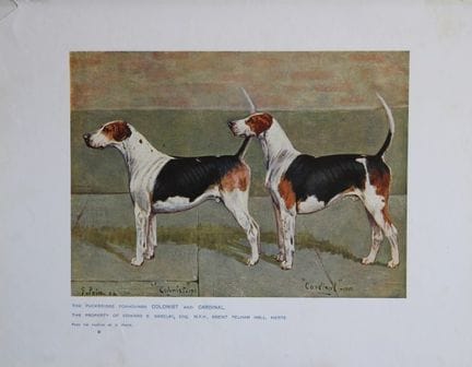Chromolithograph of Puckeridge Hounds after G Pric