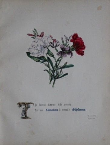 Jane E. Giraud - Estampe coloriée à la main tirée 
