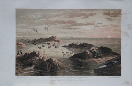 L. Lloyd – „Shooting to Decoy Birds“ von Korner, 1