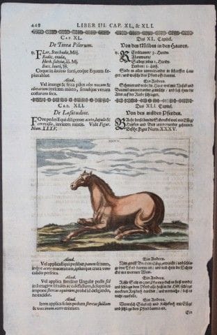 Georg Winter – Seltener Stich aus „Bellerophon“ zu
