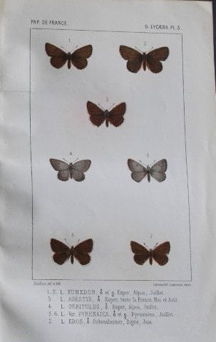 Joseph Delahaye - Chromolithographie tirée de *Pap