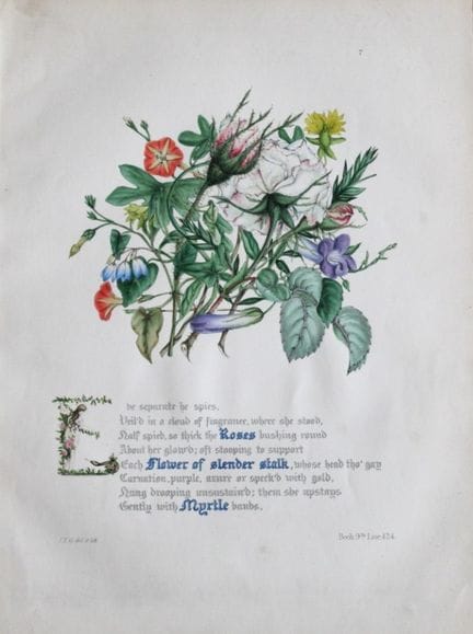 Jane E. Giraud - Estampe coloriée à la main tirée 