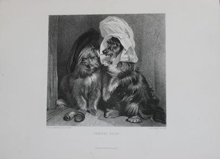 Sir Edwin Landseer – Stich „Comical Dogs“ von 1879
