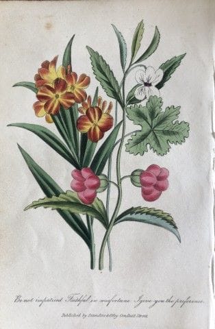 Frédéric Shoberl - Gravure représentant la « Wallf