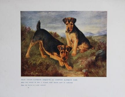 Chromolithograph of Welsh Terriers after Lilian Ch