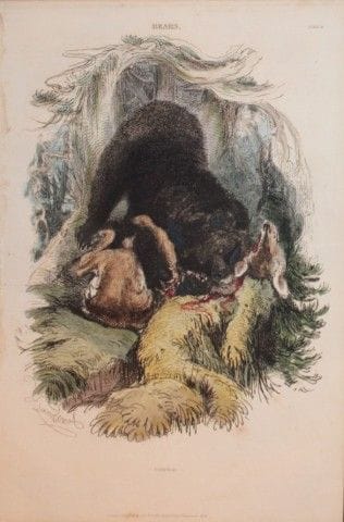 Charles Partington - Hand coloured engraving of Gr