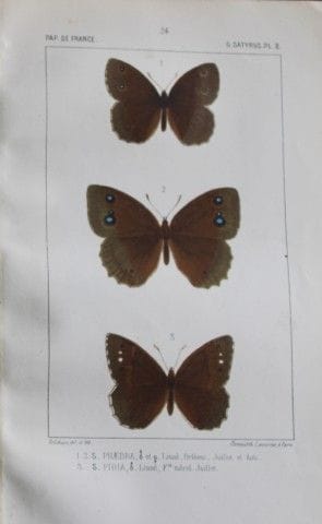Joseph Delahaye - Chromolithographie tirée de *Pap