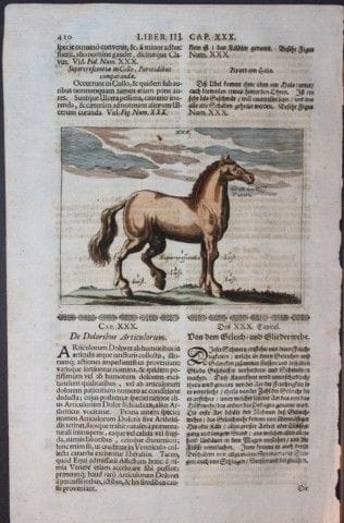 Georg Winter – Seltener Stich aus „Bellerophon“ zu