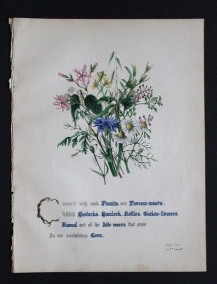 Jane E. Giraud - Estampe coloriée à la main tirée 
