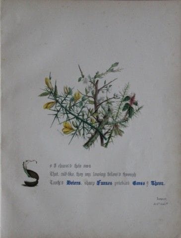 Jane E. Giraud - Estampe coloriée à la main tirée 