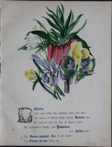 Jane E. Giraud - Estampe coloriée à la main tirée 