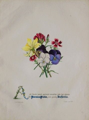 Jane E. Giraud - Estampe coloriée à la main tirée 