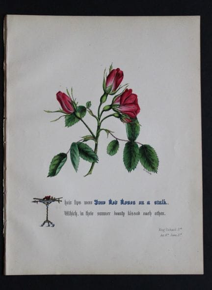 Jane E. Giraud - Lithographie originale tirée de *