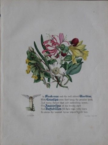 Jane E. Giraud - Estampe coloriée à la main tirée 