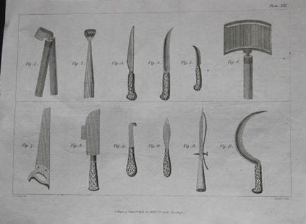 William Forsyth - Planche XIII sur la taille et la