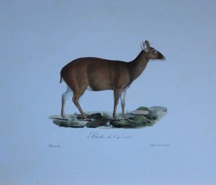 St Hilaire - Lithographie coloriée à la main repré
