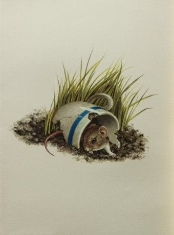 Amuchastegui – Lithografie einer Feldmaus, 1966.

