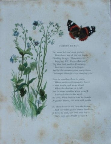 Birket Foster – Handkolorierter Stich eines Vergis