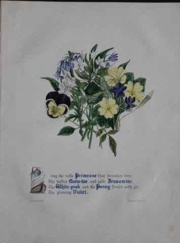 Jane E. Giraud - Estampe coloriée à la main tirée 