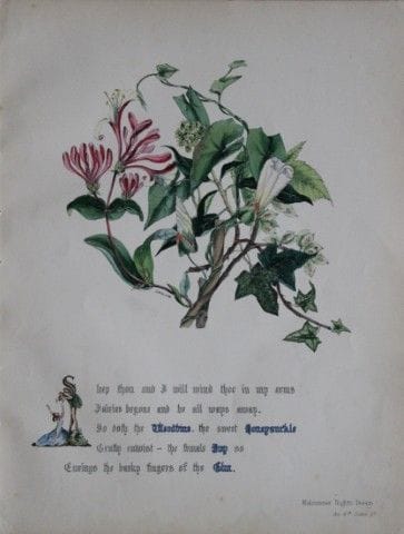 Jane E. Giraud - Estampe coloriée à la main tirée 