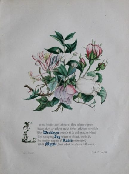 Jane E. Giraud - Estampe coloriée à la main tirée 