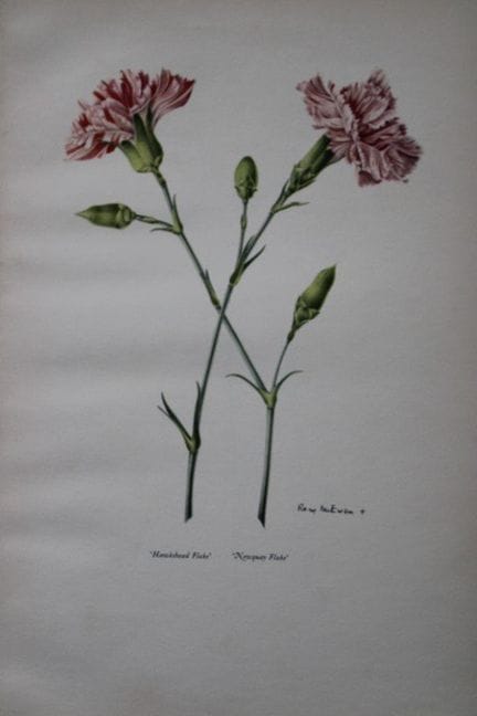 Rory McEwen – Lithografie von „Hawkshead Flake“ un
