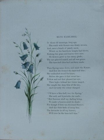 Birket Foster – Handkolorierter Stich einer Blauen