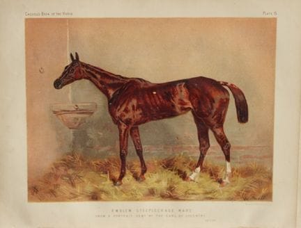 Cassells Buch der Pferde – Emblem 1880.

Chromolit