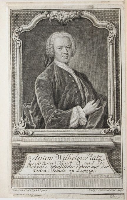Johann Leopold - Anton Wilhelm Plaz, 1750 circa.

