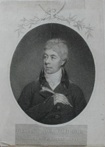Stipple engraving of George Shaw engraved by  Jame