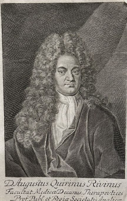 贝尼格罗特——奥古斯都·里维努斯1723年版画。

这幅德国医生兼植物学家奥古斯都·奎里努斯·里维努